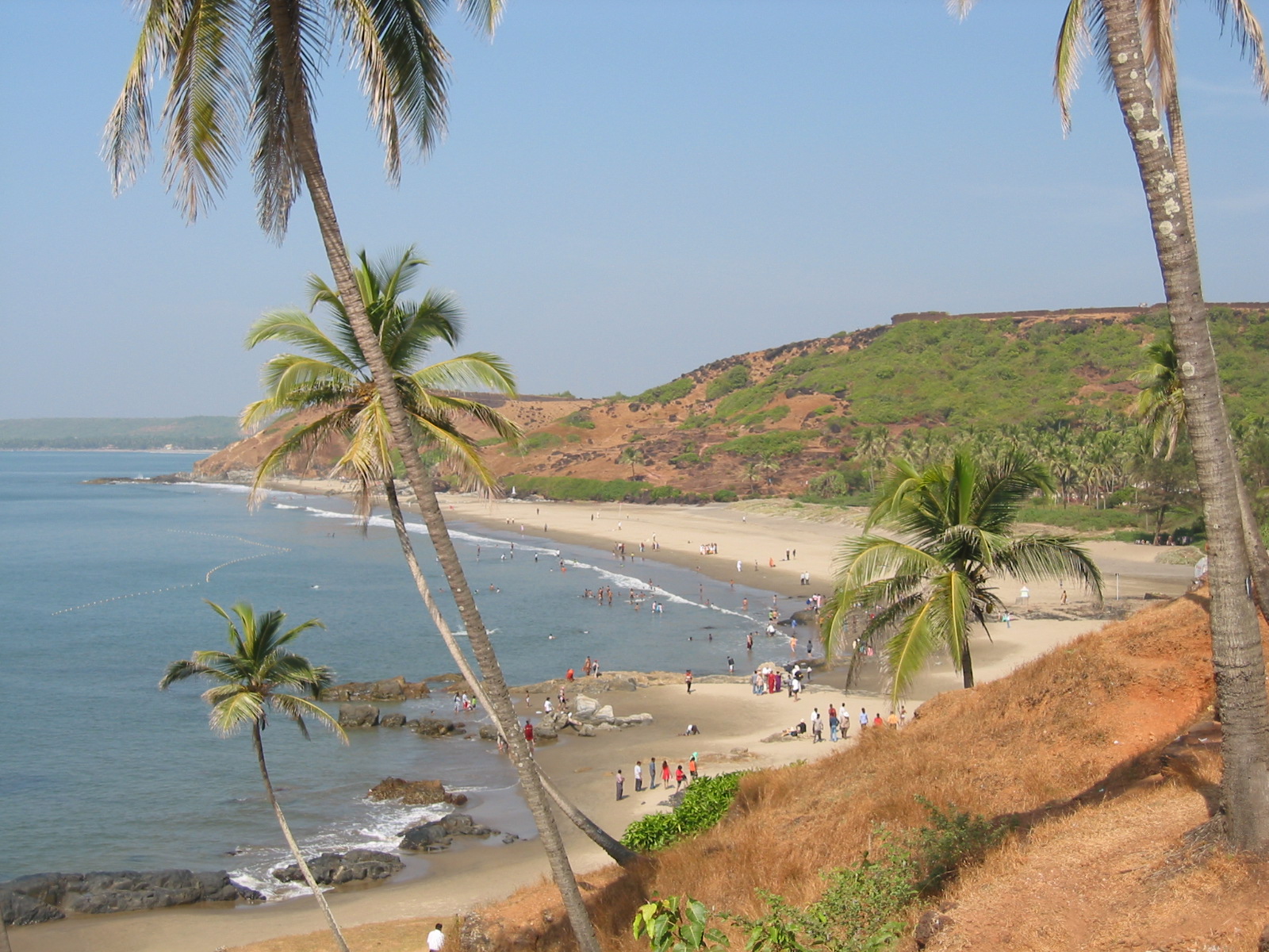 4 Lobos Bollywood Radio