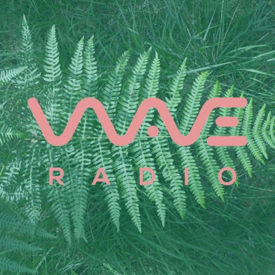 WAVE RADIO 89.8 Hossegor